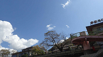 pa140767_thumb.jpg