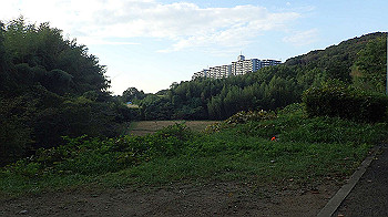 pa140843_thumb.jpg