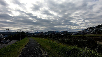 gx013786.mp4_snapshot_00.00_thumb.jpg