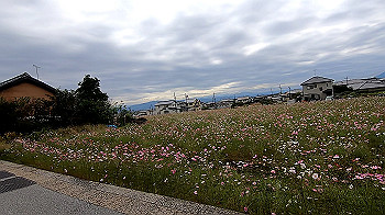 gx013805.mp4_snapshot_00.00_thumb.jpg