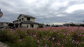 gx013806.mp4_snapshot_00.00_thumb.jpg