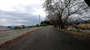gx013817.mp4_snapshot_00.00_thumb.jpg