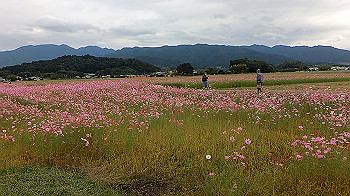 gx013822.mp4_snapshot_00.00_thumb.jpg