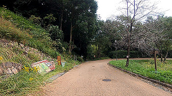 gx013832.mp4_snapshot_00.00_thumb.jpg