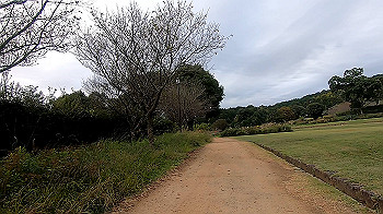 gx013840.mp4_snapshot_00.00_thumb.jpg