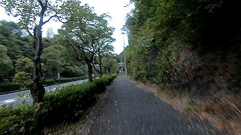 gx013844.mp4_snapshot_00.00_thumb.jpg