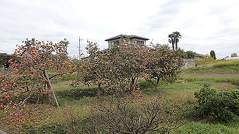 pa180877_thumb.jpg