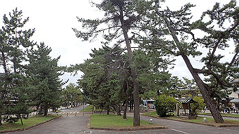 pa180900_thumb.jpg