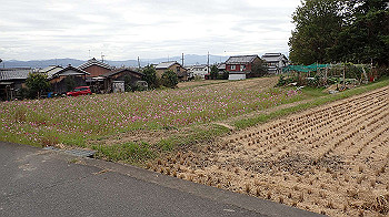 pa180939_thumb.jpg