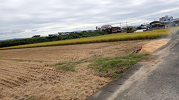 pa180960_thumb.jpg