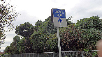 pa181044_thumb.jpg