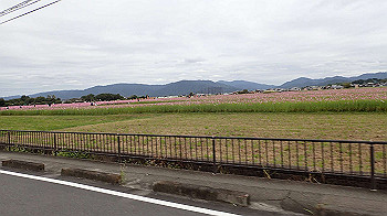 pa181074_thumb.jpg