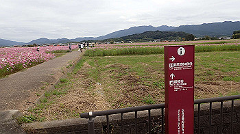 pa181075_thumb.jpg