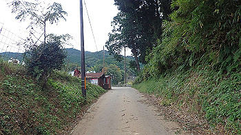 pa181109_thumb.jpg
