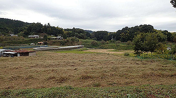 pa181115_thumb.jpg