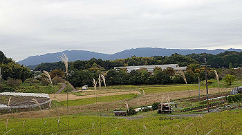 pa181116_thumb.jpg