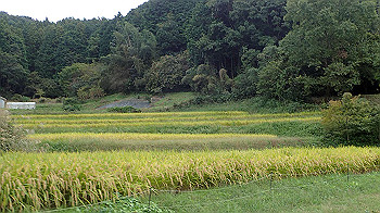 pa181119_thumb.jpg