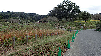 pa181136_thumb.jpg