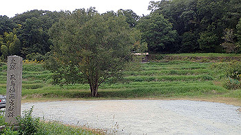 pa181142_thumb.jpg