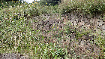 pa181145_thumb.jpg