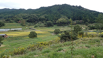pa181149_thumb.jpg