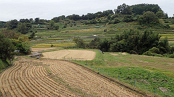 pa181156_thumb.jpg