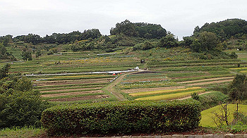 pa181159_thumb.jpg