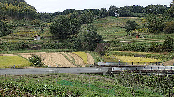 pa181162_thumb.jpg