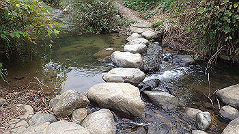 pa181183_thumb.jpg