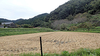 pa181188_thumb.jpg