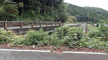 pa181196_thumb.jpg