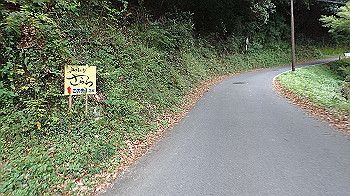 pa181199_thumb.jpg