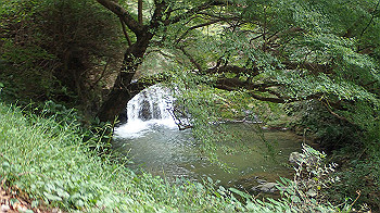 pa181201_thumb.jpg