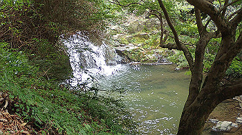 pa181202_thumb.jpg