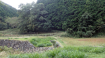 pa181224_thumb.jpg