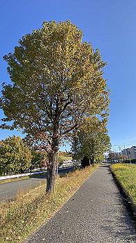 20211028_001550979_ios_thumb.jpg