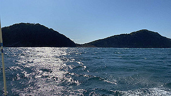 20211107_040549050_ios_thumb.jpg