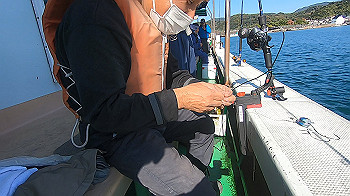 gx013852.mp4_snapshot_00.48_thumb.jpg