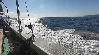 gx013853.mp4_snapshot_00.00_thumb.jpg