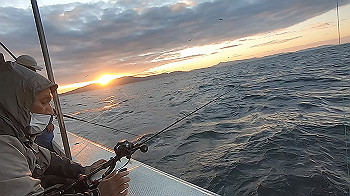 gx013854.mp4_snapshot_00.12_thumb.jpg