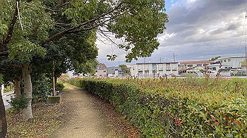 20211109_225434239_ios_thumb.jpg