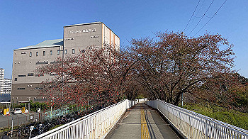 2021-11-15_12-55-09_334_thumb.jpg