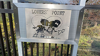 2021-11-17_12-12-12_537_thumb.jpg