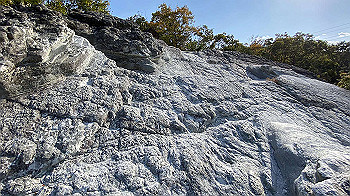 2021-11-17_13-50-39_785_thumb.jpg
