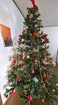 2021-11-27_14-26-20_787_thumb.jpg