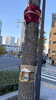 2021-12-03_15-48-15_341_thumb.jpg
