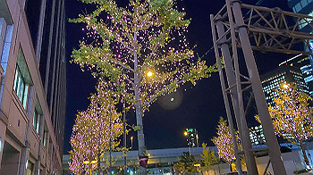 2021-12-03_19-59-41_092_thumb.jpg
