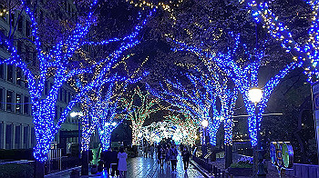 2021-12-03_20-06-27_880_thumb.jpg