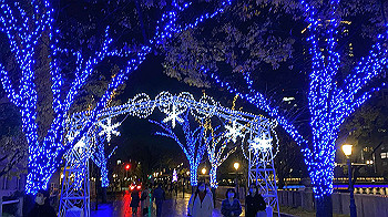 2021-12-03_20-09-18_480_thumb.jpg
