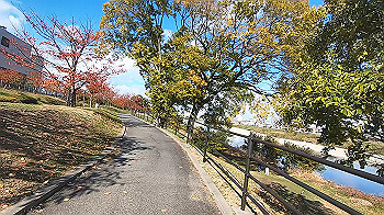 gx013929.mp4_snapshot_00.00_thumb.jpg